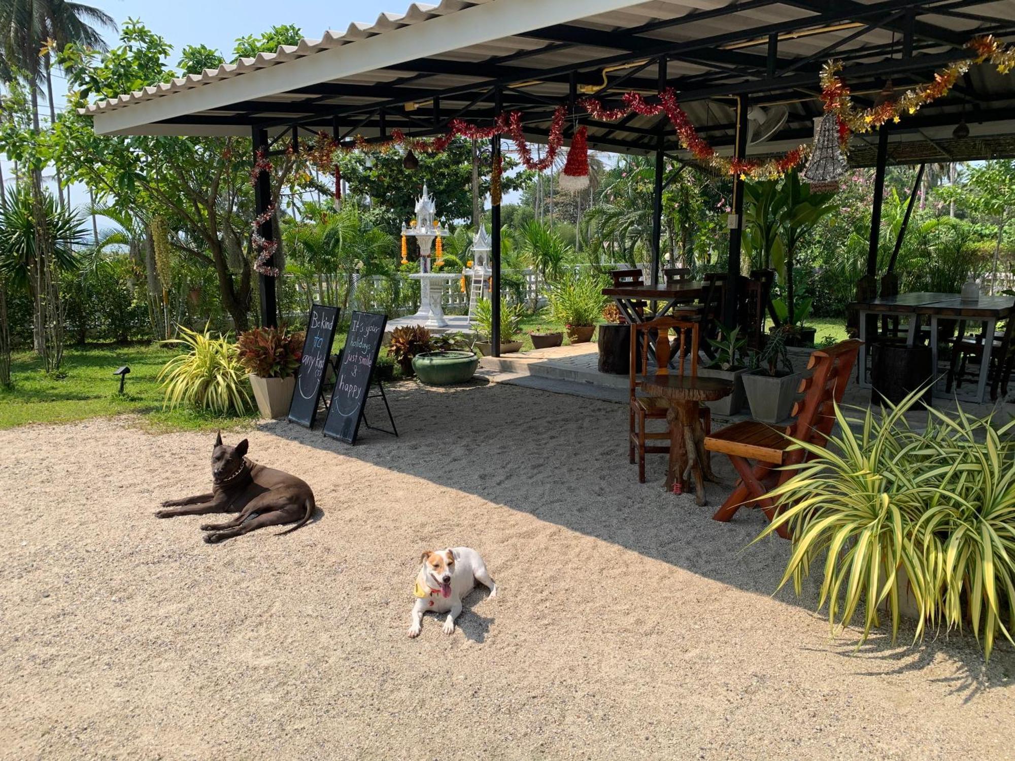Phangan Hometown Resort - Adults Only Baan Tai Zewnętrze zdjęcie