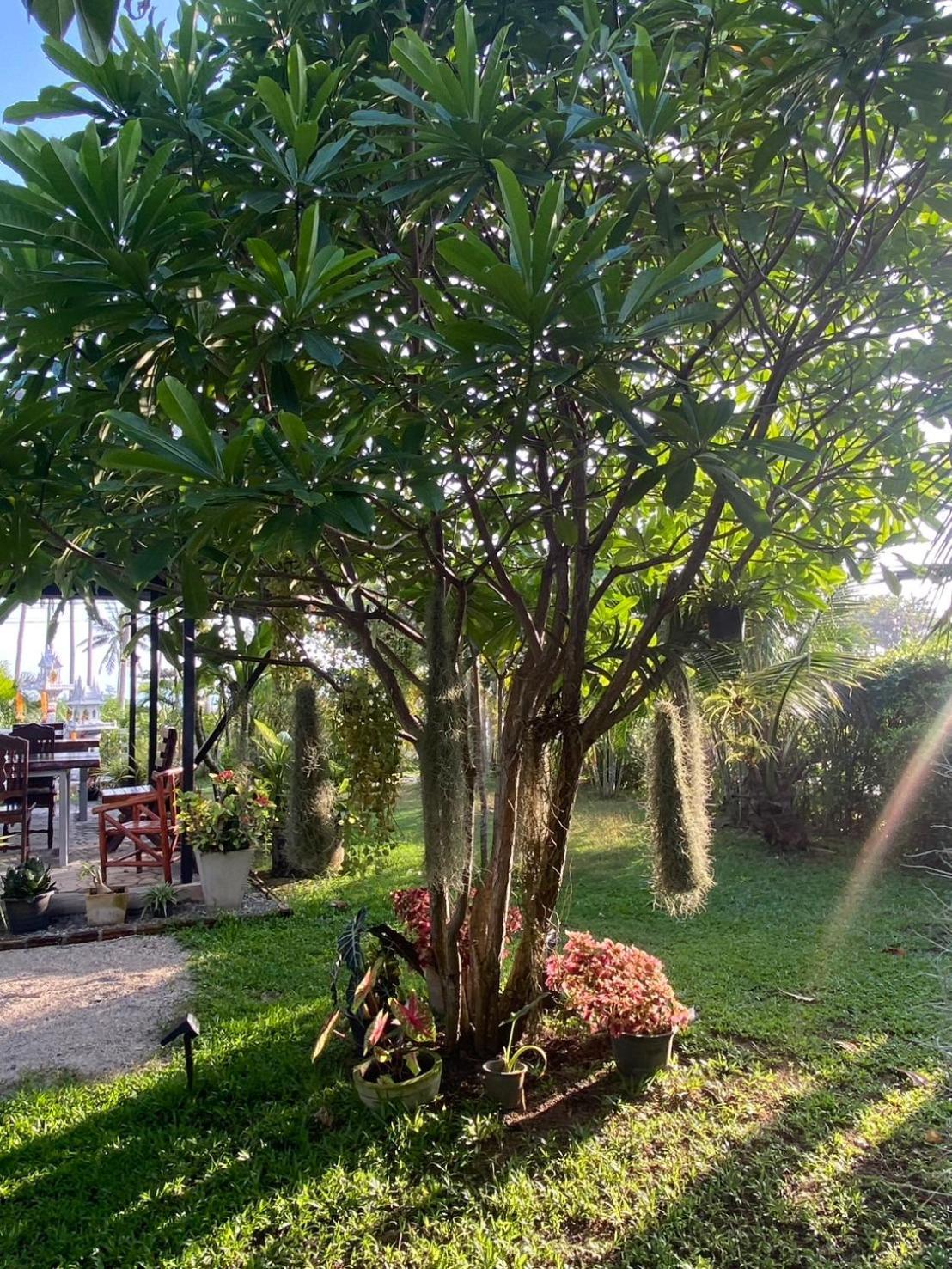 Phangan Hometown Resort - Adults Only Baan Tai Zewnętrze zdjęcie